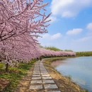 郑州旅游 缩略图 8
