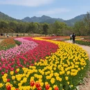 舟山旅游 缩略图 5
