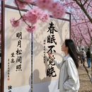 郑州旅游 缩略图 2