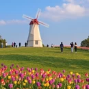 舟山旅游 缩略图 10