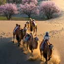 郑州旅游 缩略图 6