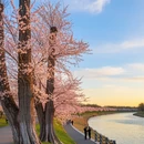 郑州旅游 缩略图 9