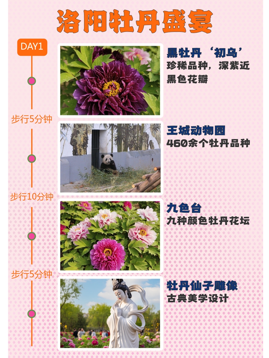 洛阳旅游