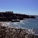 三亚旅游 缩略图 3