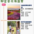 舟山旅游 缩略图 1