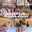 郑州旅游 缩略图 1