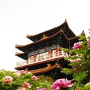 洛阳旅游 缩略图 10