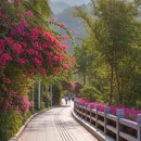 厦门旅游 缩略图 6
