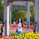 南昌旅游 缩略图 7