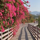 厦门旅游 缩略图 3