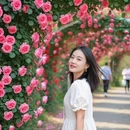 洛阳旅游 缩略图 5