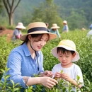 洛阳旅游 缩略图 7