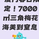 厦门旅游 缩略图 1