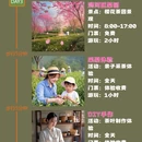 洛阳旅游 缩略图 3