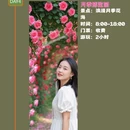 洛阳旅游 缩略图 4