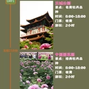 洛阳旅游 缩略图 1
