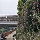 合肥旅游 缩略图 9
