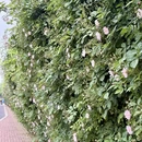 郑州旅游 缩略图 2