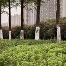合肥旅游 缩略图 2