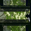 苏州旅游 缩略图 7