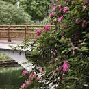 合肥旅游 缩略图 6