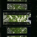 苏州旅游 缩略图 5