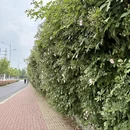 郑州旅游 缩略图 6
