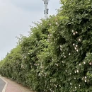 郑州旅游 缩略图 7