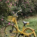 合肥旅游 缩略图 12