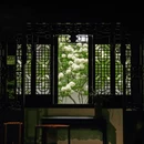 苏州旅游 缩略图 2