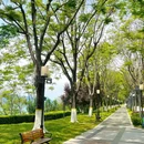 宜昌旅游 缩略图 5