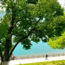 宜昌旅游 缩略图 2
