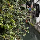 绍兴旅游 缩略图 12