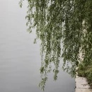 合肥旅游 缩略图 10