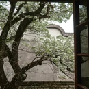 福州旅游 缩略图 9