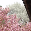 北京旅游 缩略图 12