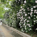 贵阳旅游 缩略图 1