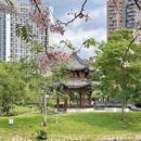 深圳旅游 缩略图 11