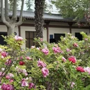 洛阳旅游 缩略图 18