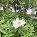 北京旅游 缩略图 9