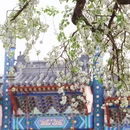 北京旅游 缩略图 7