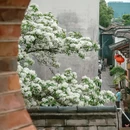 福州旅游 缩略图 10