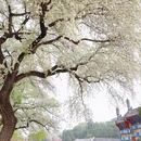 北京旅游 缩略图 1