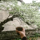 福州旅游 缩略图 11