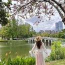 深圳旅游 缩略图 5