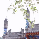 北京旅游 缩略图 10
