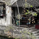 绍兴旅游 缩略图 2
