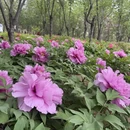 北京旅游 缩略图 7