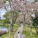 深圳旅游 缩略图 2