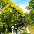 宜昌旅游 缩略图 7